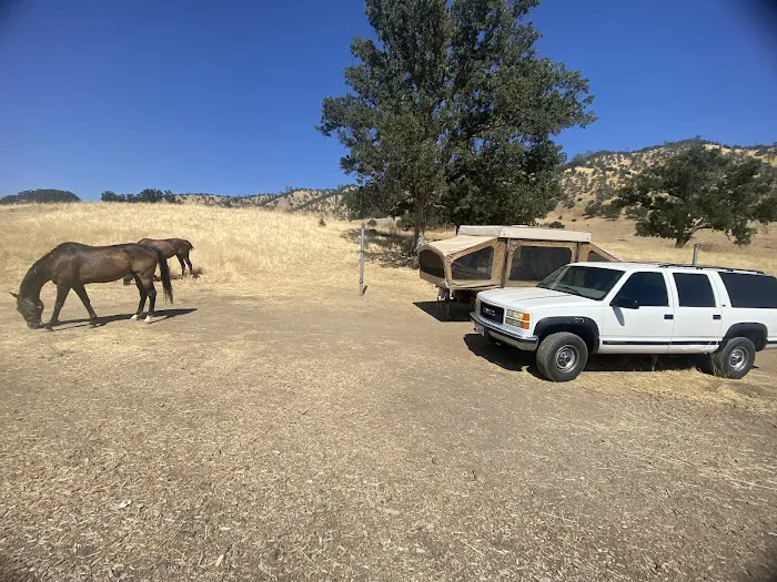 Cowboy Camp Picture 8