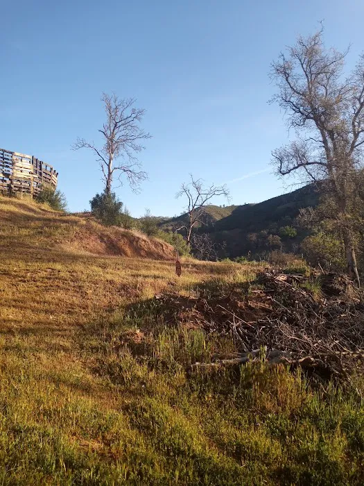 Ravens Landing Picture 1