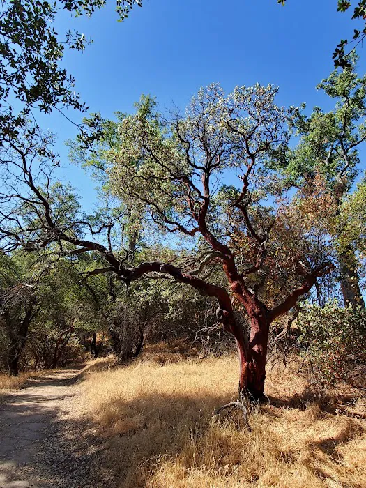 Tuttletown Recreation Area Picture 7