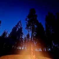 TeleLi puLaya (Black Oak) Campground ico