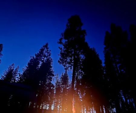 TeleLi puLaya (Black Oak) Campground