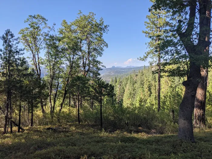 TeleLi puLaya (Black Oak) Campground Picture 3