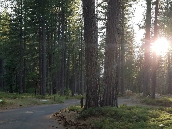 TeleLi puLaya (Black Oak) Campground Picture 6