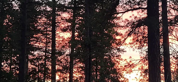 TeleLi puLaya (Black Oak) Campground Picture 9