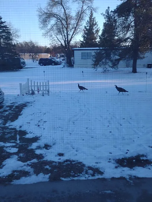 Recreacres JV LLC Stevens Point WI Picture 1