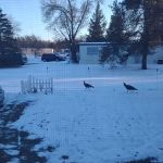 Recreacres JV LLC Stevens Point WI