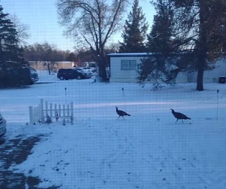 Recreacres JV LLC Stevens Point WI