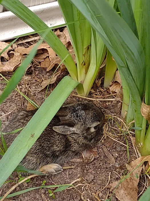 Recreacres JV LLC Stevens Point WI Picture 3