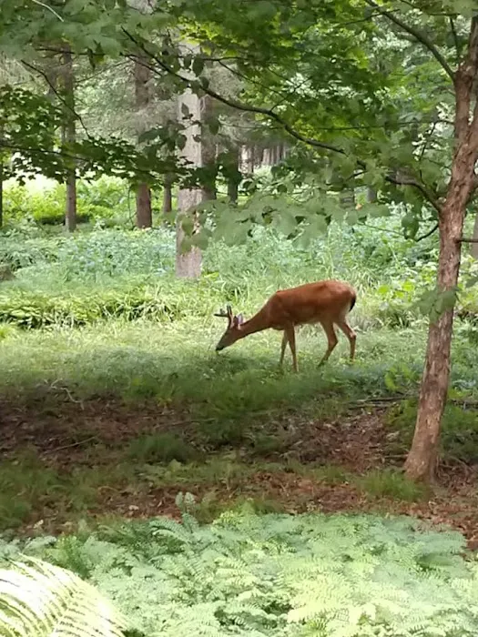 Recreacres JV LLC Stevens Point WI Picture 4