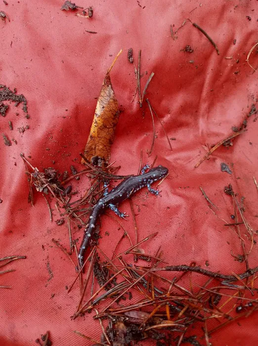 Recreacres JV LLC Stevens Point WI Picture 6