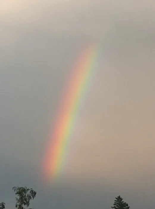 Recreacres JV LLC Stevens Point WI Picture 5