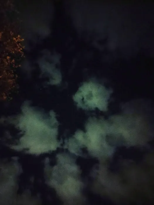 Recreacres JV LLC Stevens Point WI Picture 8