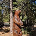 Lair of the Golden Bear - Camp Gold