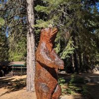 Lair of the Golden Bear - Camp Gold ico