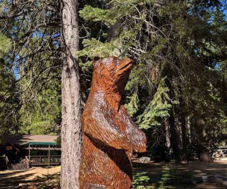 Lair of the Golden Bear - Camp Gold