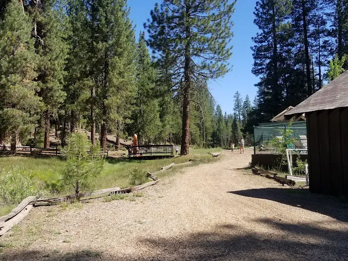 Lair of the Golden Bear - Camp Gold Picture 3