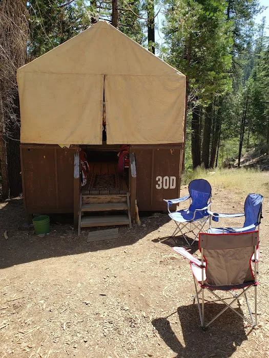 Lair of the Golden Bear - Camp Gold Picture 5