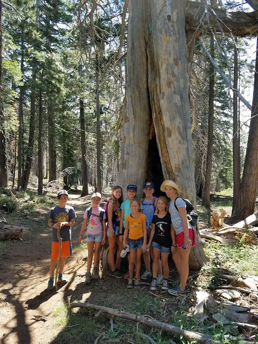Lair of the Golden Bear - Camp Gold Picture 9