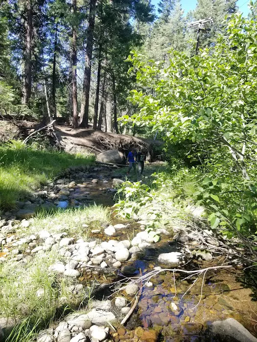 Lair of the Golden Bear - Camp Gold Picture 8