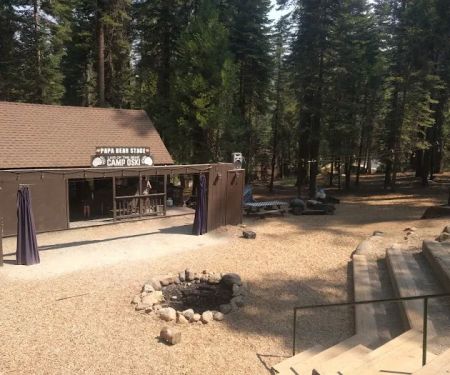 Lair of the Golden Bear - Camp Oski