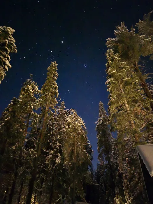 Lair of the Golden Bear - Camp Oski Picture 4