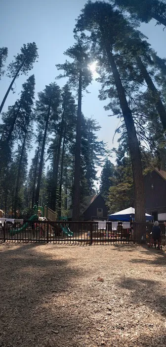 Lair of the Golden Bear - Camp Oski Picture 10