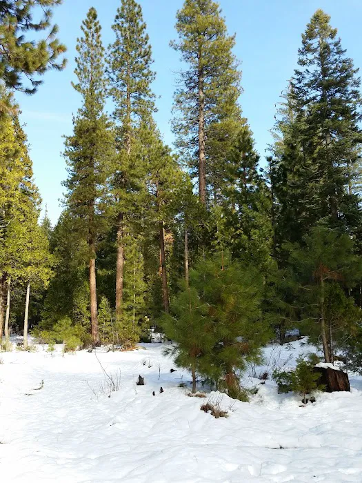 Meadowview Campground Picture 7