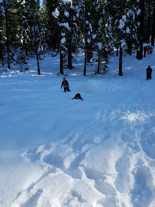 Meadowview Campground Picture 4