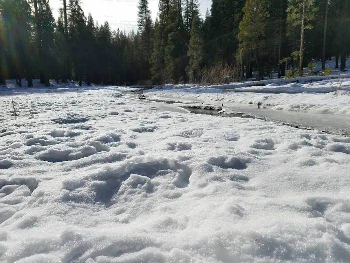 Meadowview Campground Picture 8