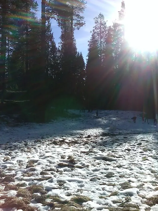 Meadowview Campground Picture 5