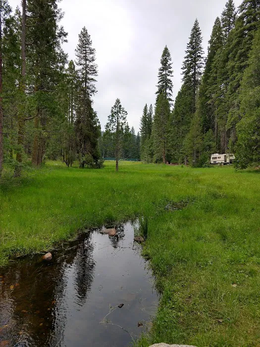 Meadowview Campground Picture 6