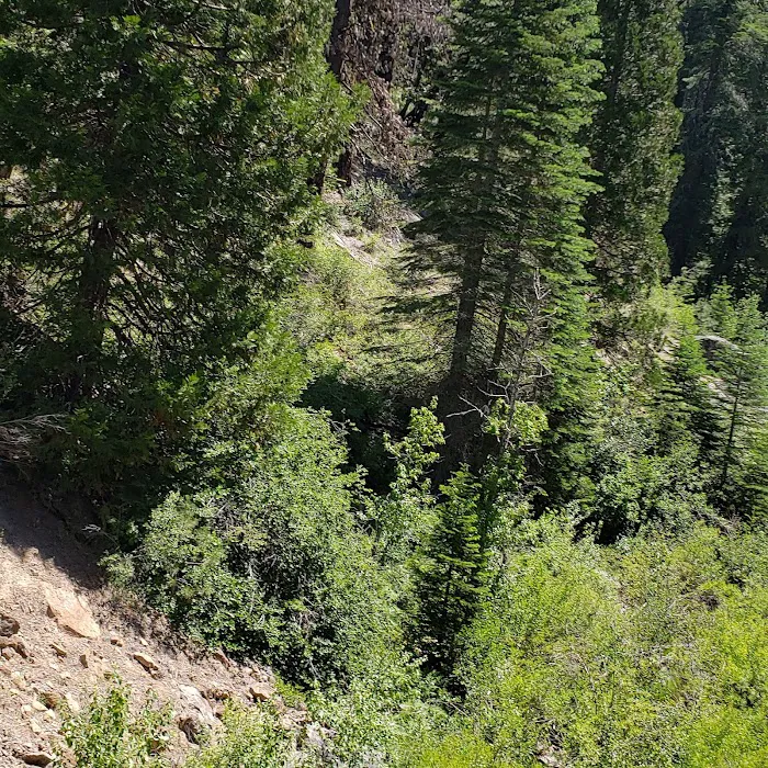 Hull Creek / Trout Creek OHV Area (recgovnpsdata) Picture 9