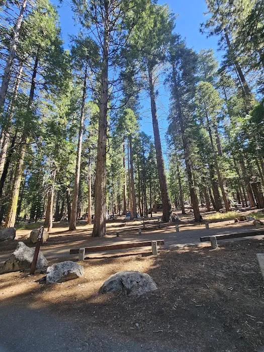 Pinecrest Campground Picture 3