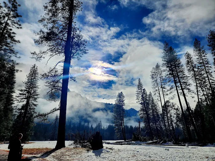 Pinecrest Campground Picture 7