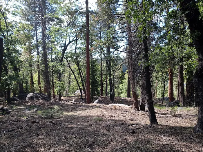 Pioneer Trail Campground Picture 2