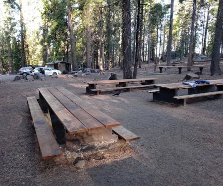 Pioneer Trail Campground