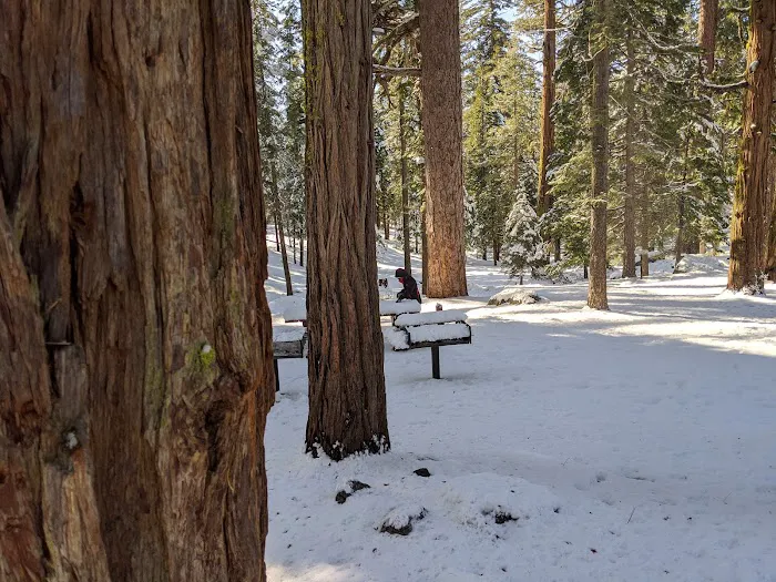 Pioneer Trail Campground Picture 10
