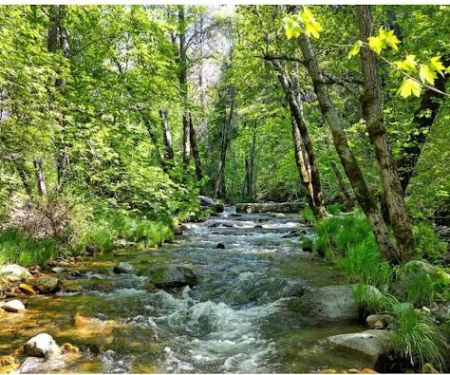 River Ranch Campground