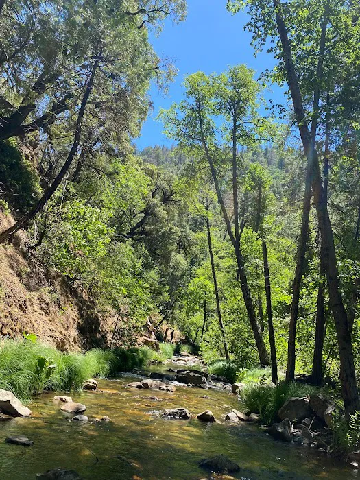 River Ranch Campground Picture 5