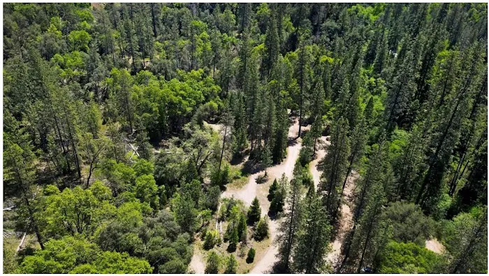 River Ranch Campground Picture 9