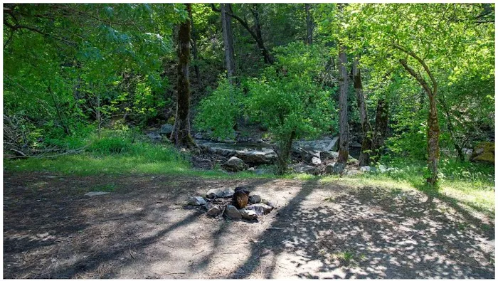 River Ranch Campground Picture 10