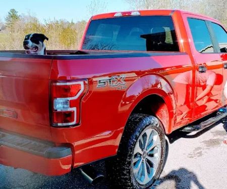 Olympic Village Mobile Homes