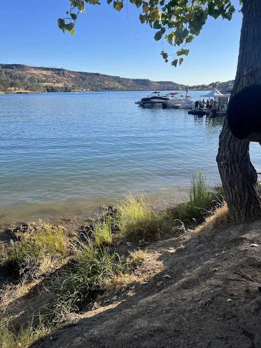 Lake Tulloch RV Campground & Marina Picture 7