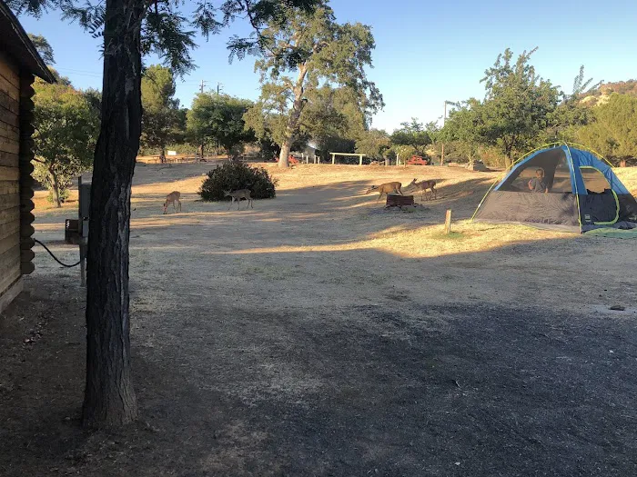 Lake Tulloch RV Campground & Marina Picture 10