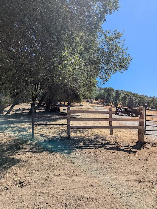 Diamond Gulch Camp Picture 1