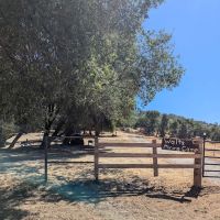 Diamond Gulch Camp ico