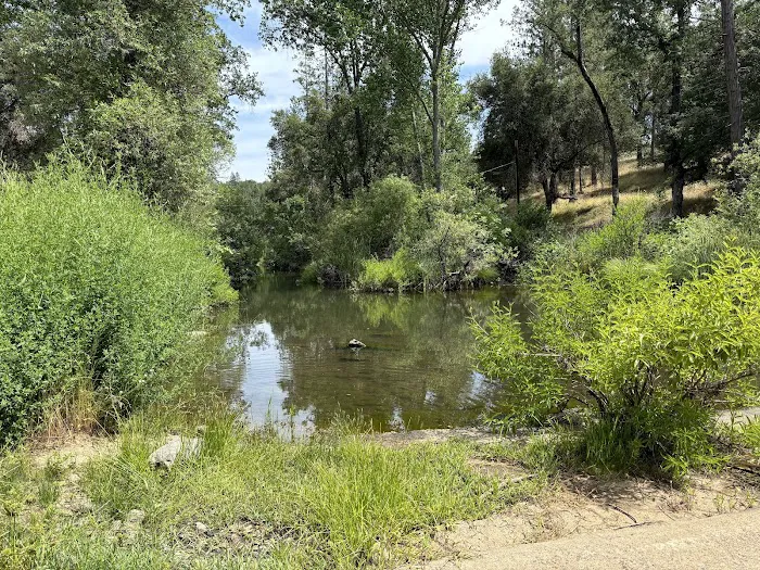 PML Campground Picture 5