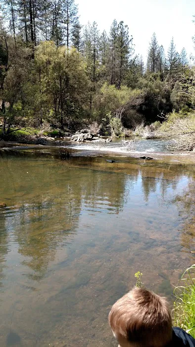 PML Campground Picture 6