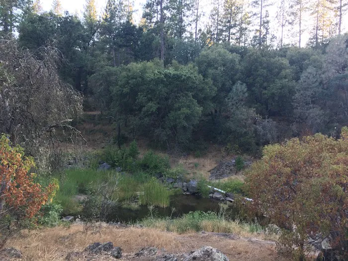 PML Campground Picture 8