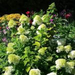 Manufactured Housing Specialists